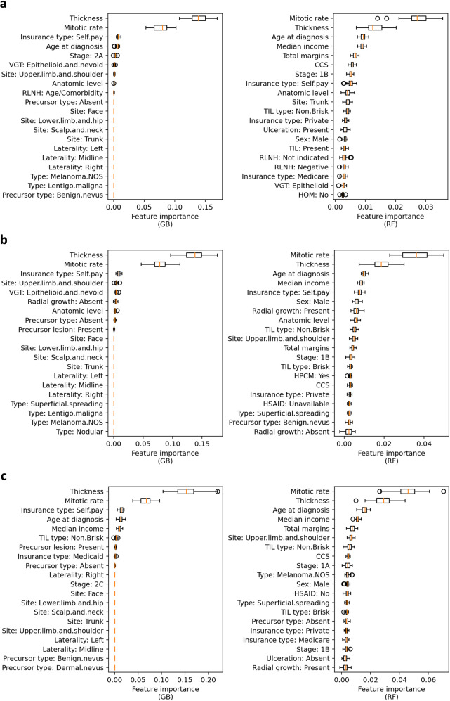 Feature importance rankings for melanoma recurrence ML model showing Breslow thickness and mitotic rate as top predictors